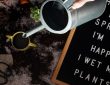 10 Reasons How Smart Plant Pots Makes A Perfect Green Gifts