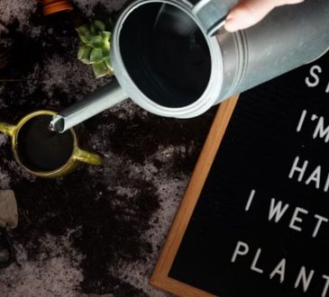10 Reasons How Smart Plant Pots Makes A Perfect Green Gifts