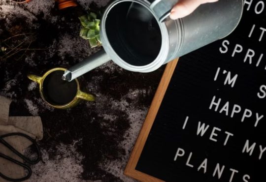 10 Reasons How Smart Plant Pots Makes A Perfect Green Gifts