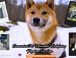 Innovative Pet Wearables Redefining Modern Pet Care