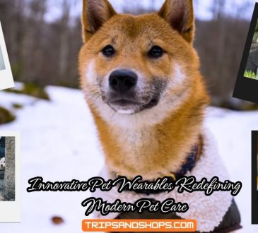 Innovative Pet Wearables Redefining Modern Pet Care